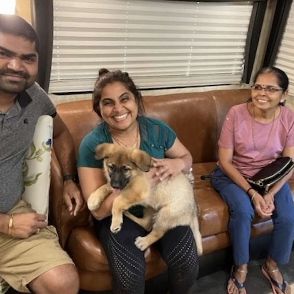 Green collar male is now with his furever family!