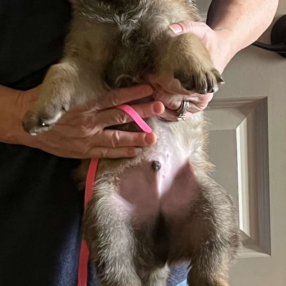 7 lbs 6 oz at 4 1/2 weeks old