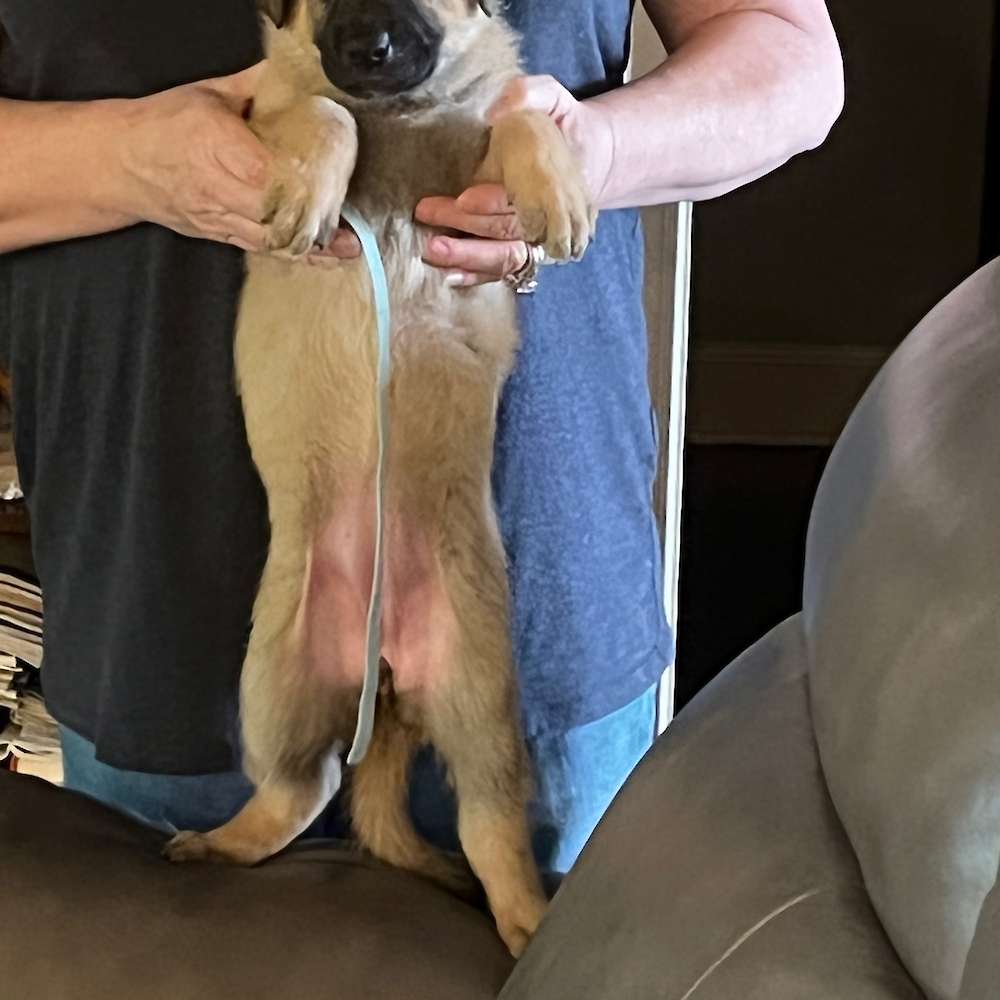 8 Pounds at 4 1/2 weeks!