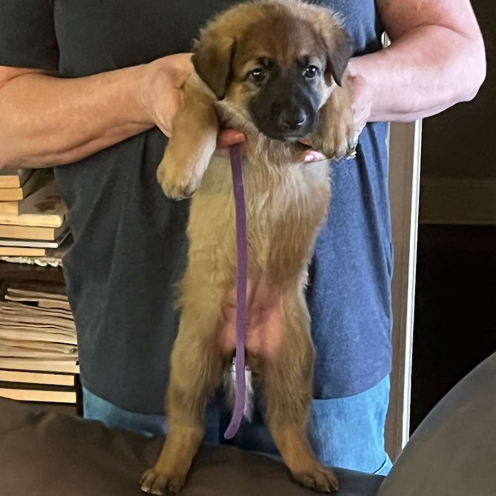 7 lbs 10 oz at 4 1/2 weeks old