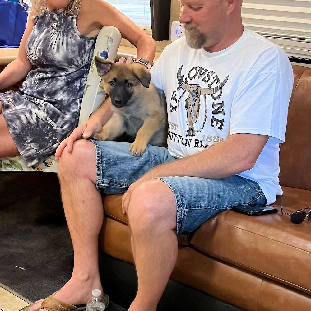 Orange collar pup is now with her furever family.