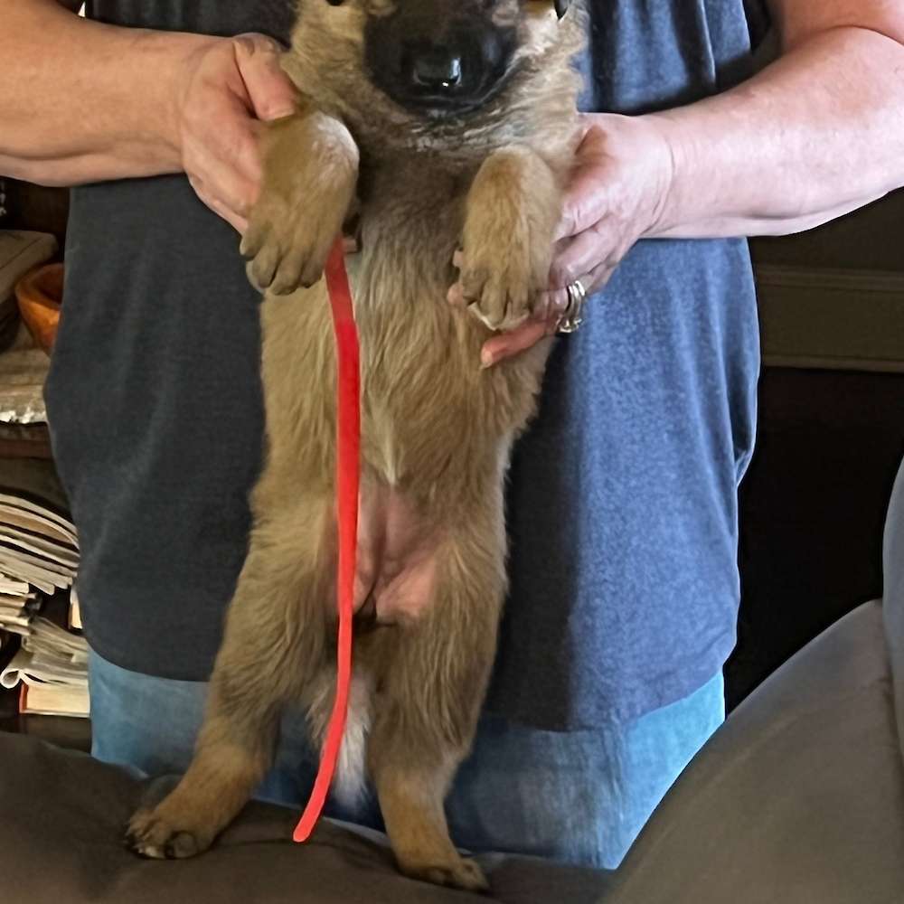 6 lbs 6 oz at 4 1/2 weeks old