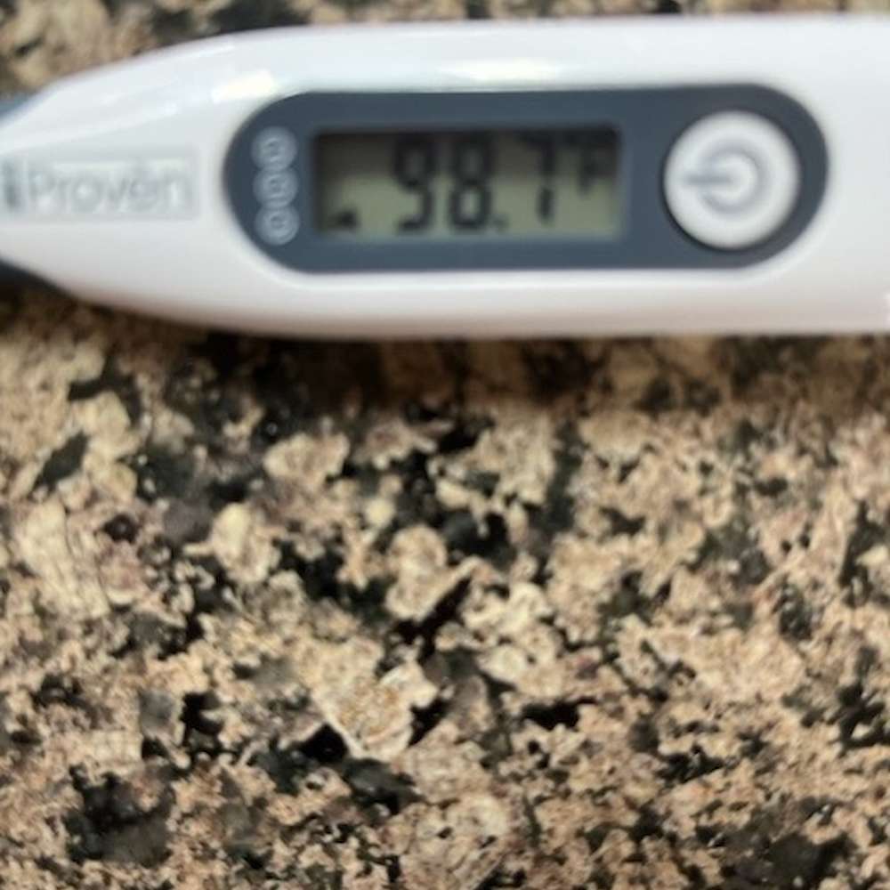 Temp taken 1 May (date stamp may be incorrect due to transfer of image from one source to another)