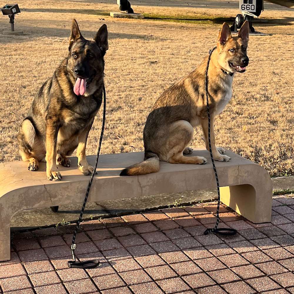 Ace on the right with big dad Simba